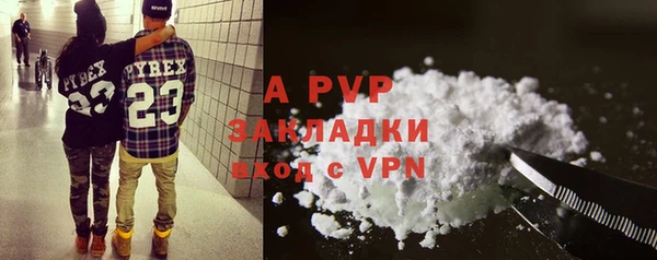индика Кукмор