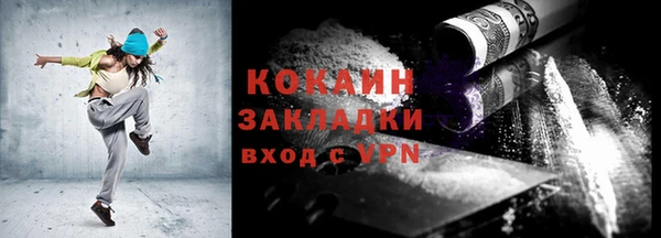 индика Кукмор