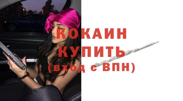 индика Кукмор