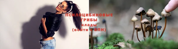 индика Кукмор