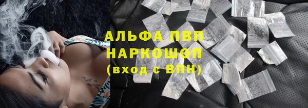 индика Кукмор