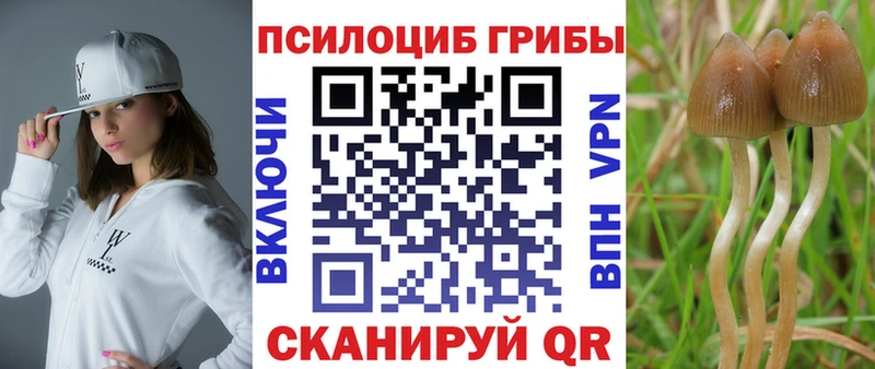 Купить где  Новопавловск  Галлюциногенные грибы мицелий 